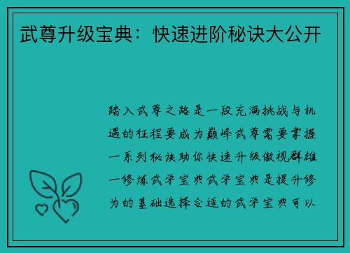 武尊升级宝典：快速进阶秘诀大公开